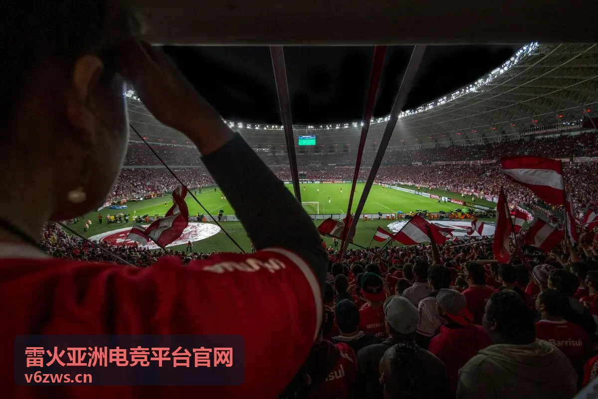 雷火亚洲电竞平台 赛事现场画面